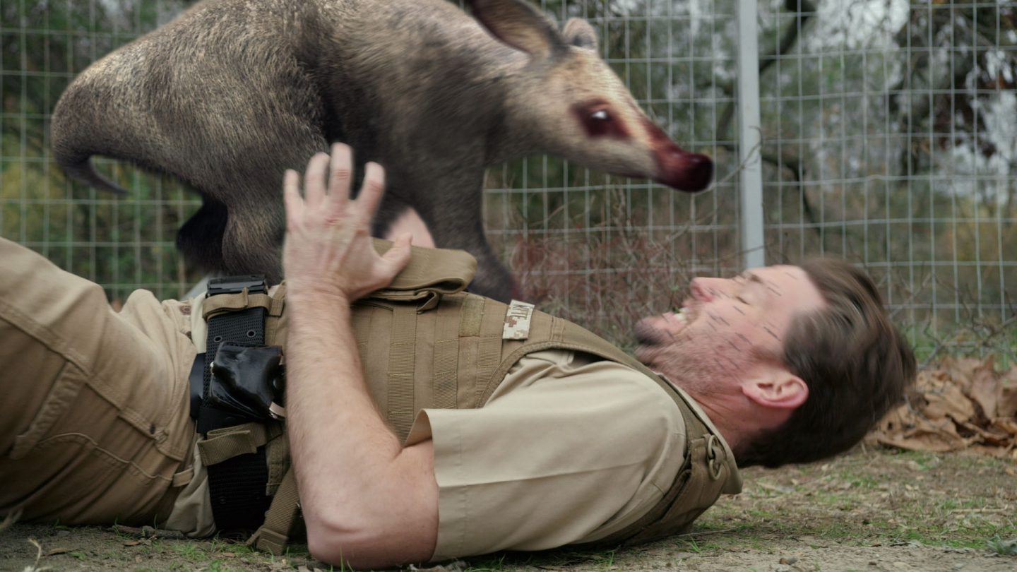 恐怖のゾンビ動物園 まさかの復活 Zoombie ズーンビ ネクスト レベル は怖くて笑える感染アニマルパニックの続編 ニフティニュース