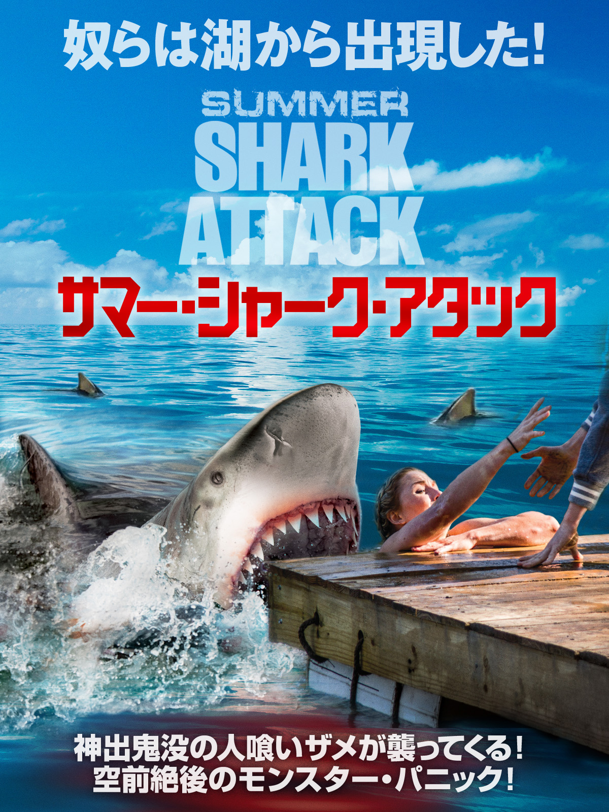 早い者勝ち h&o サメマット SHARK - その他